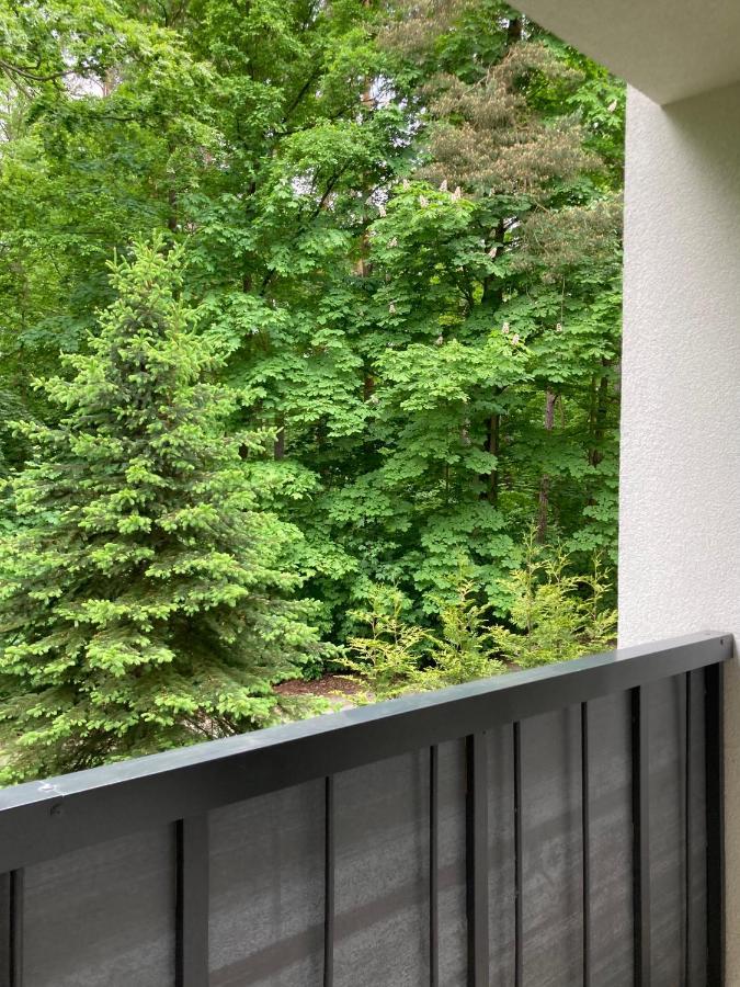 Apartament 221 Przy Niedzwiadku Поляница-Здрой Екстериор снимка